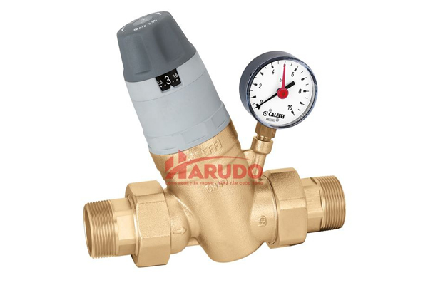 Van tuần hoàn nước nóng tự động Caleffi