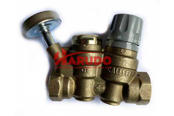 Van tuần hoàn nước nóng tự động Caleffi