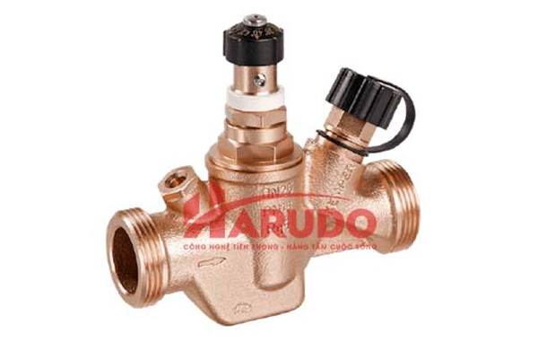 Van tuần hoàn nước nóng tự động Caleffi