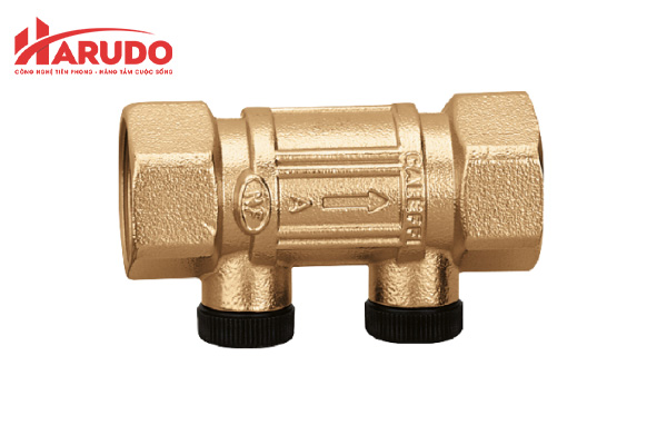 Van 1 chiều lò xo DN32 Caleffi