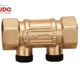 Van-mot-chieu-lo-xo-caleffi-01