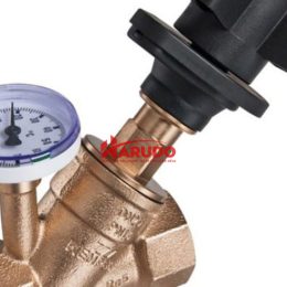 Van cân bằng nhiệt tự động DN25 PN16-01