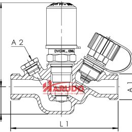 Van hồi nước nóng Kemper DN20 PN16-02
