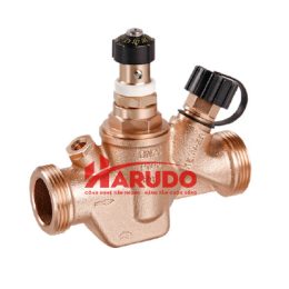 van-hoi-nuoc-nong-kemper-dn20-pn16-01