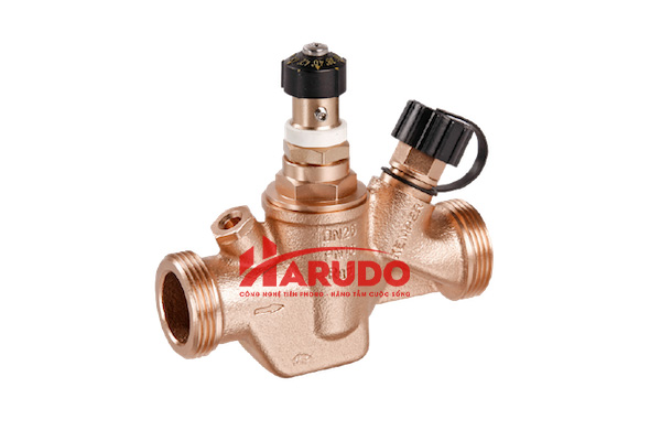 Van hồi nước nóng Kemper DN20 PN16